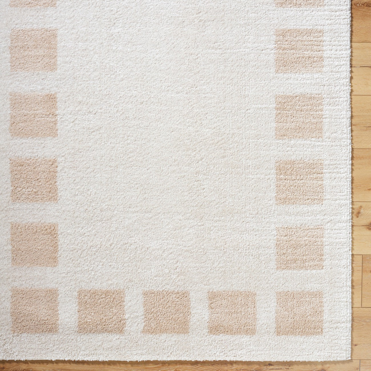 AMINE Machine Washable Modern Shaggy Beige Area Rug Overhead