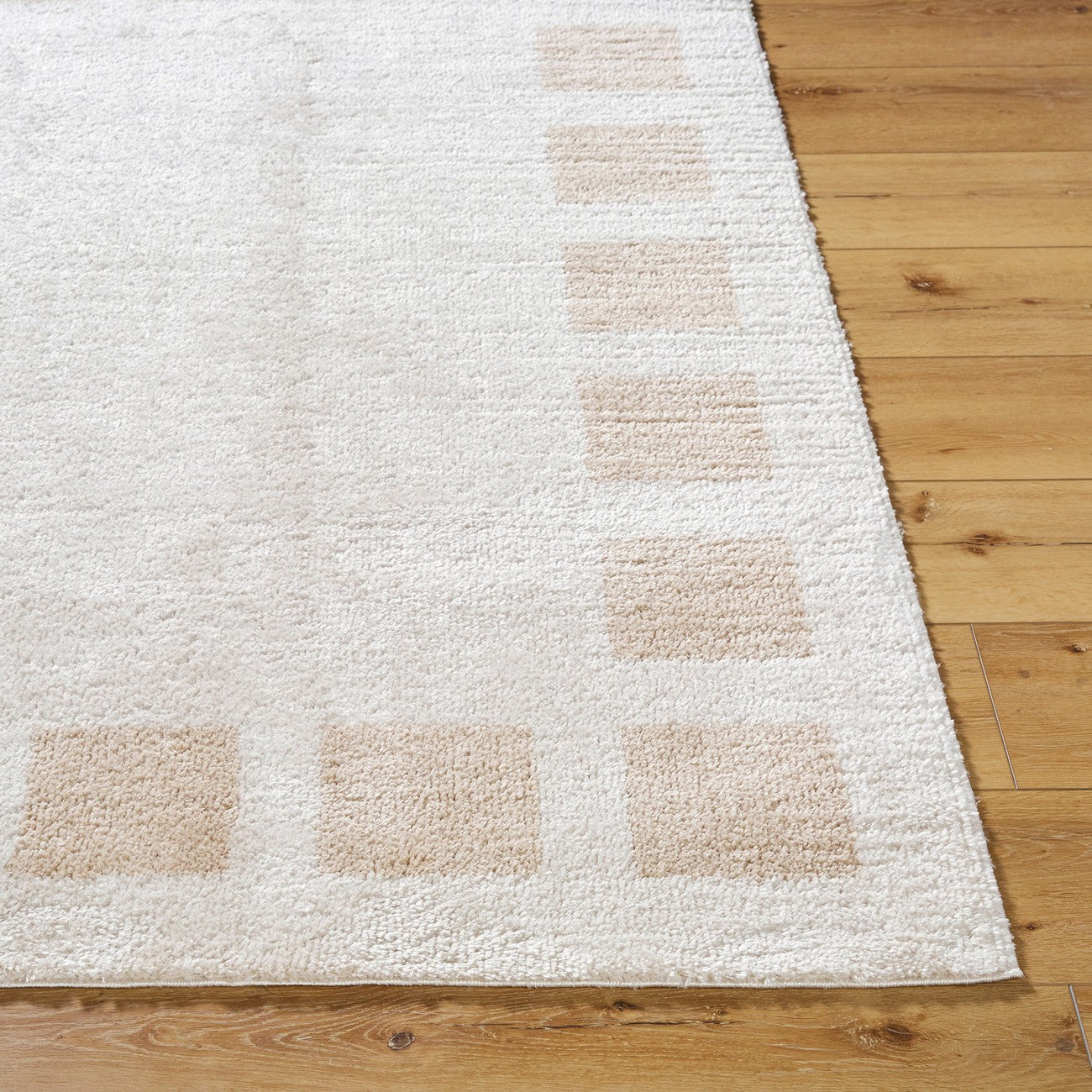 AMINE Machine Washable Modern Shaggy Beige Area Rug Front