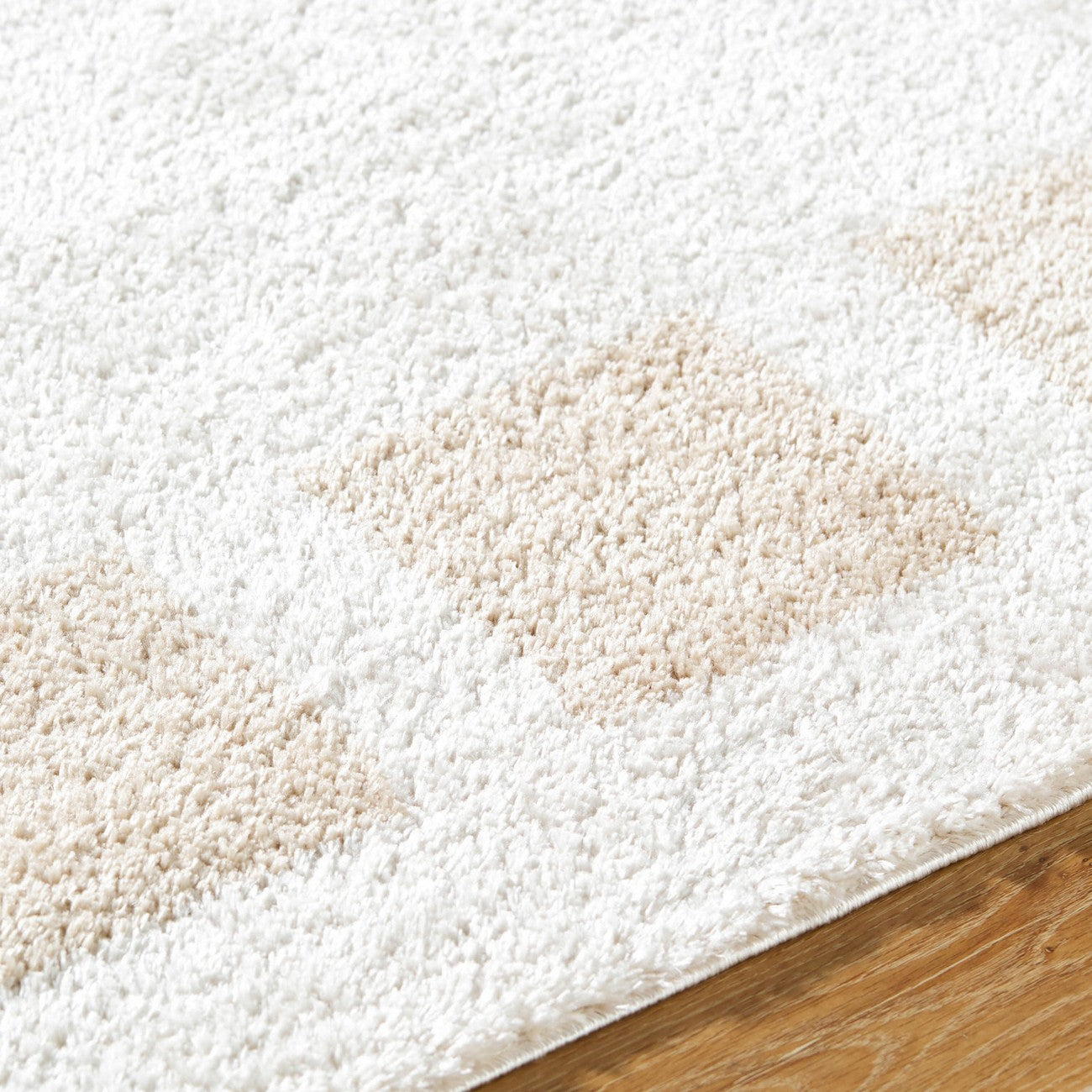 AMINE Machine Washable Modern Shaggy Beige Area Rug Texture
