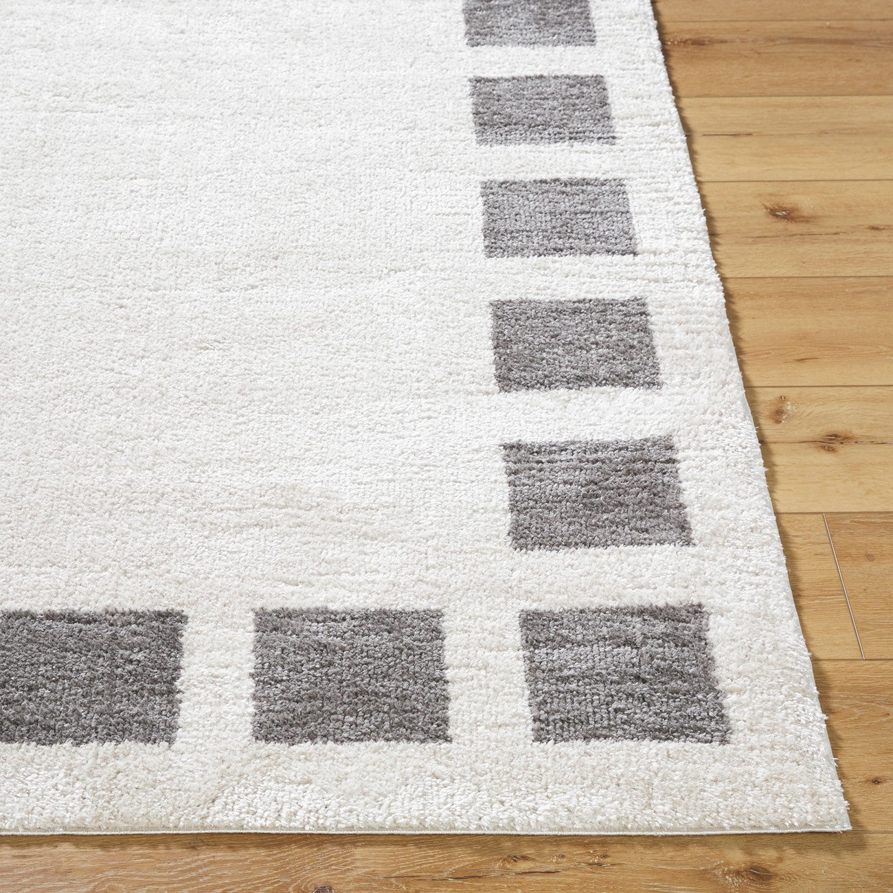 AMINE Machine Washable Modern Shaggy Charcoal Area Rug Front