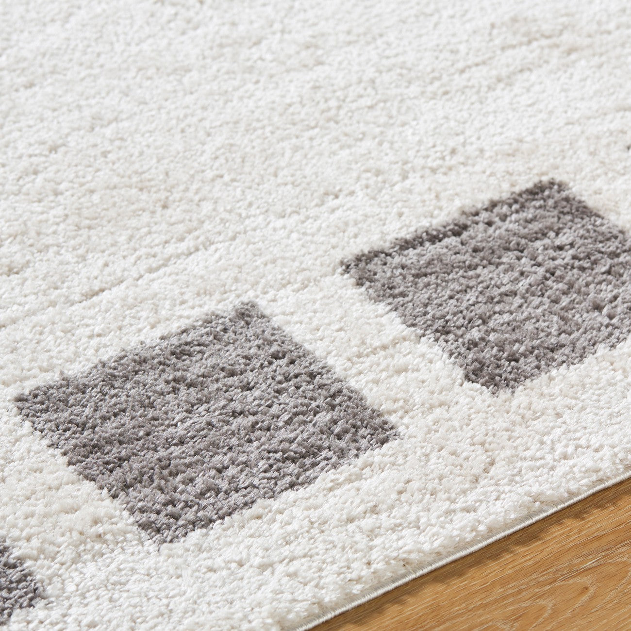 AMINE Machine Washable Modern Shaggy Charcoal Area Rug Texture