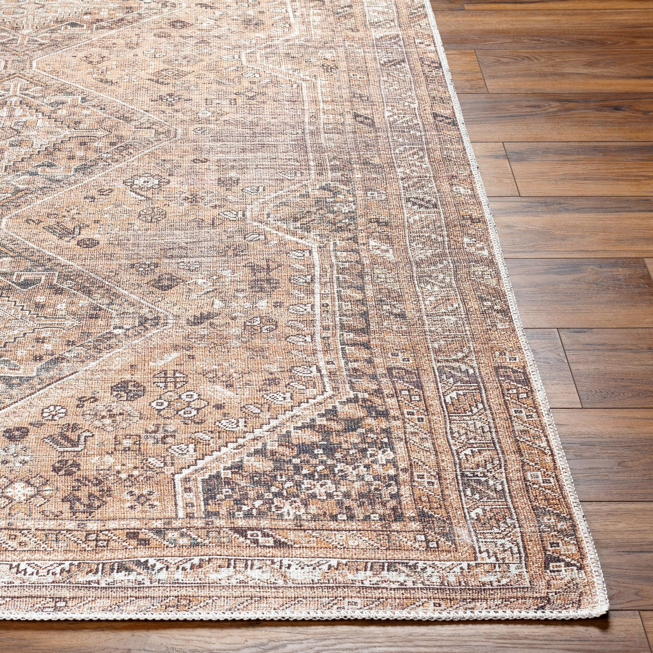 CALYPSO Machine Washable Traditional Boho Cider Area Rug Front