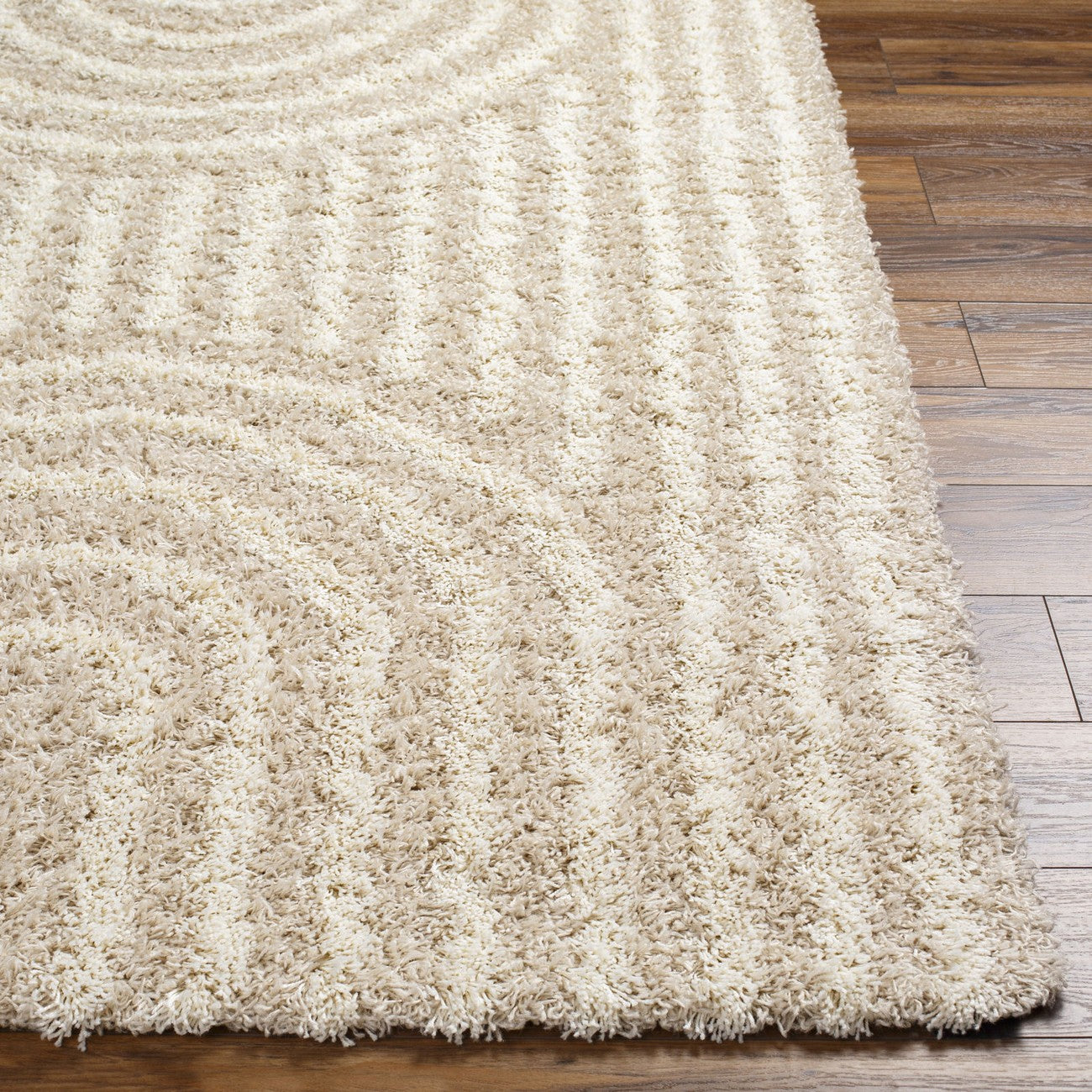 CHRISTINA Shaggy Modern Plush Pile Beige Area Rug Front
