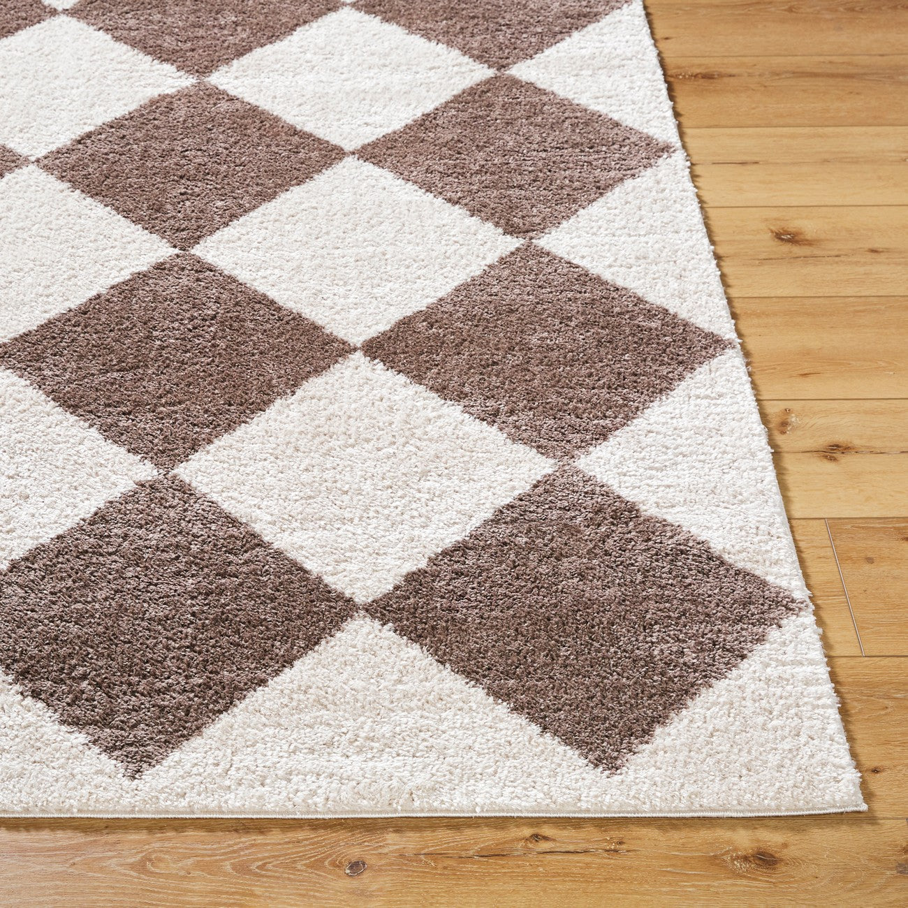 DELINE Machine Washable Modern Shaggy Dark Brown Area Rug Front