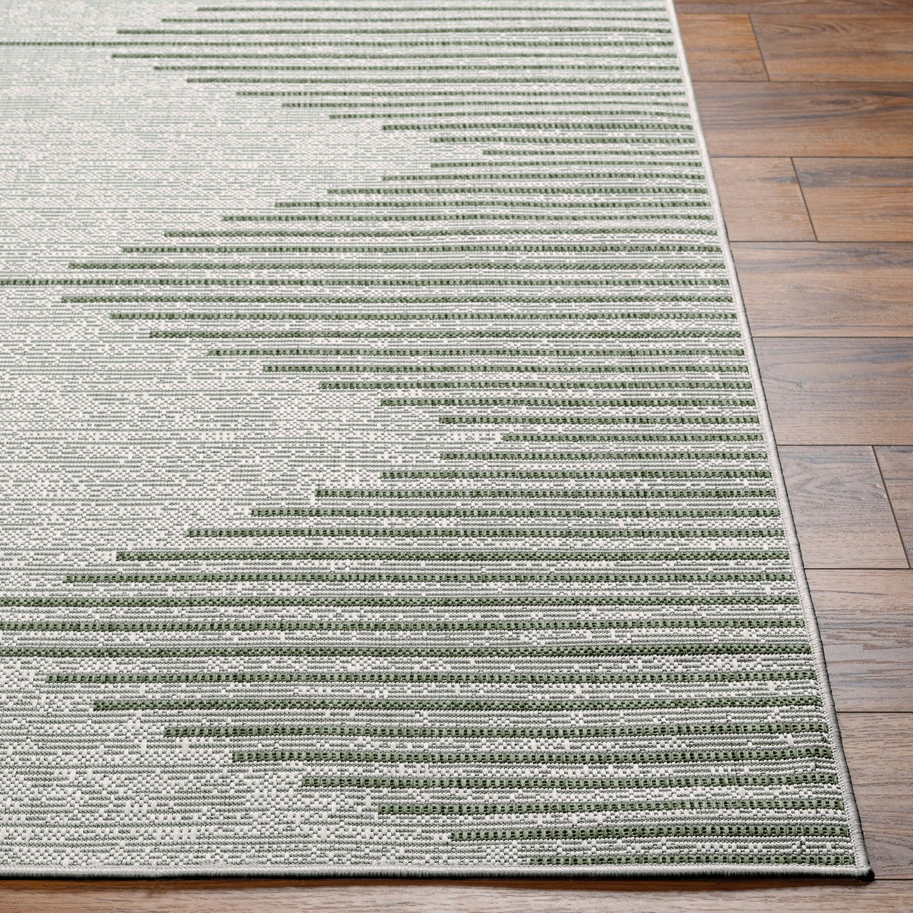 DOLLY Indoor & Outdoor Global Moss/Grey Area Rug