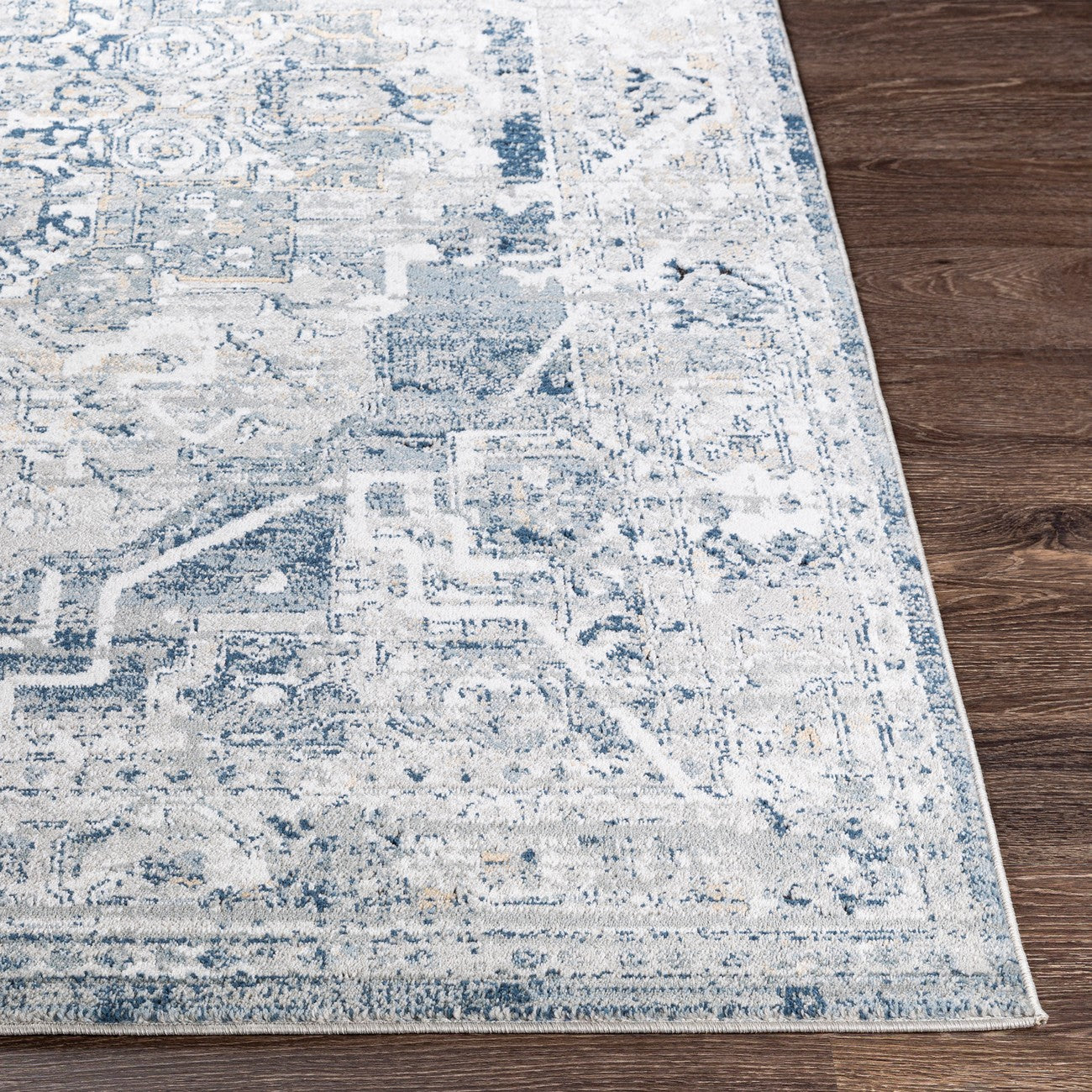 ISABELLA Vintage Traditional Oriental Boho Medium Grey Area Rug Front
