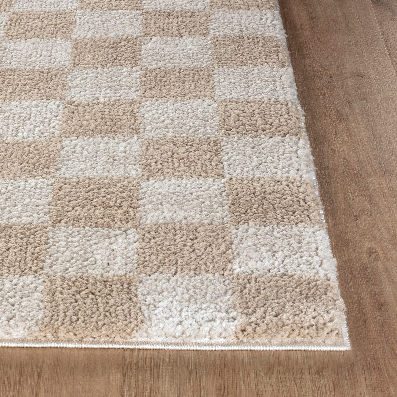 IZALINE Machine Washable Modern Shaggy Beige Area Rug Front