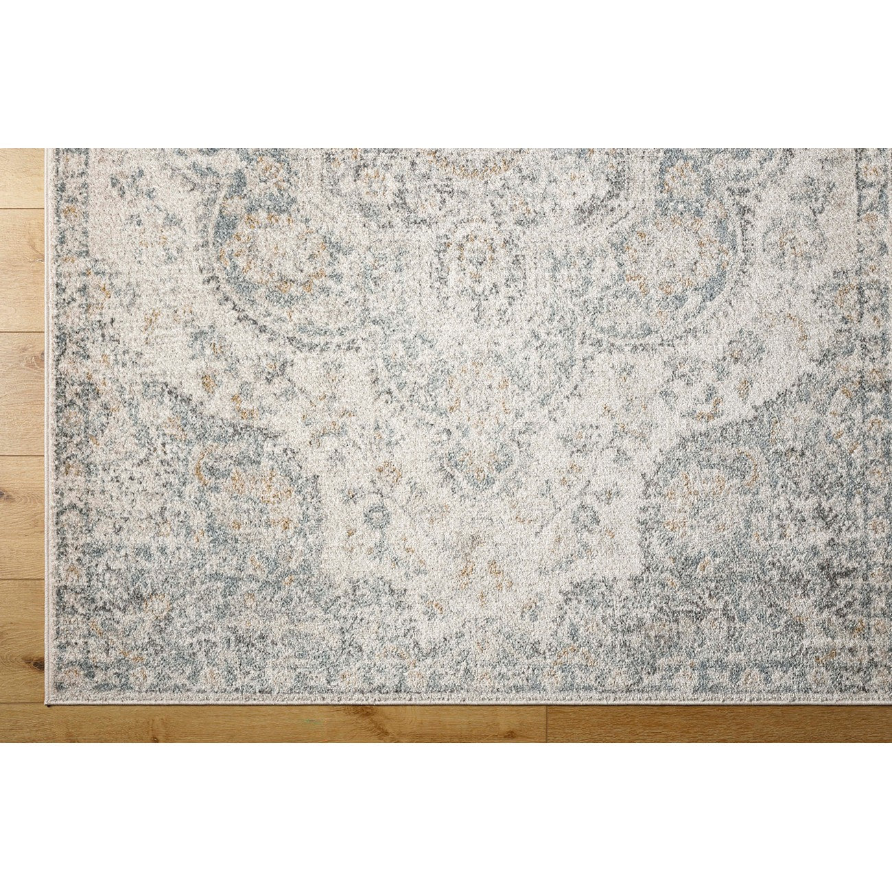 JULIA Vintage Traditional Oriental Boho Light Grey Area Rug Overhead