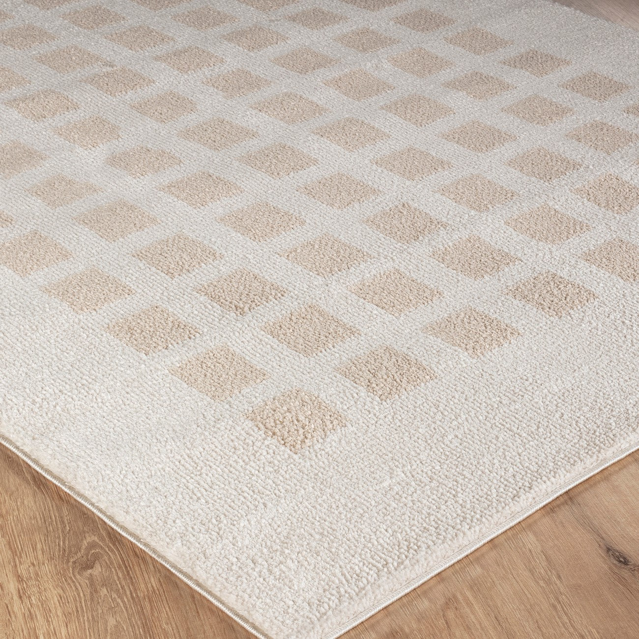 LAURINE Machine Washable Modern Shaggy Beige Area Rug