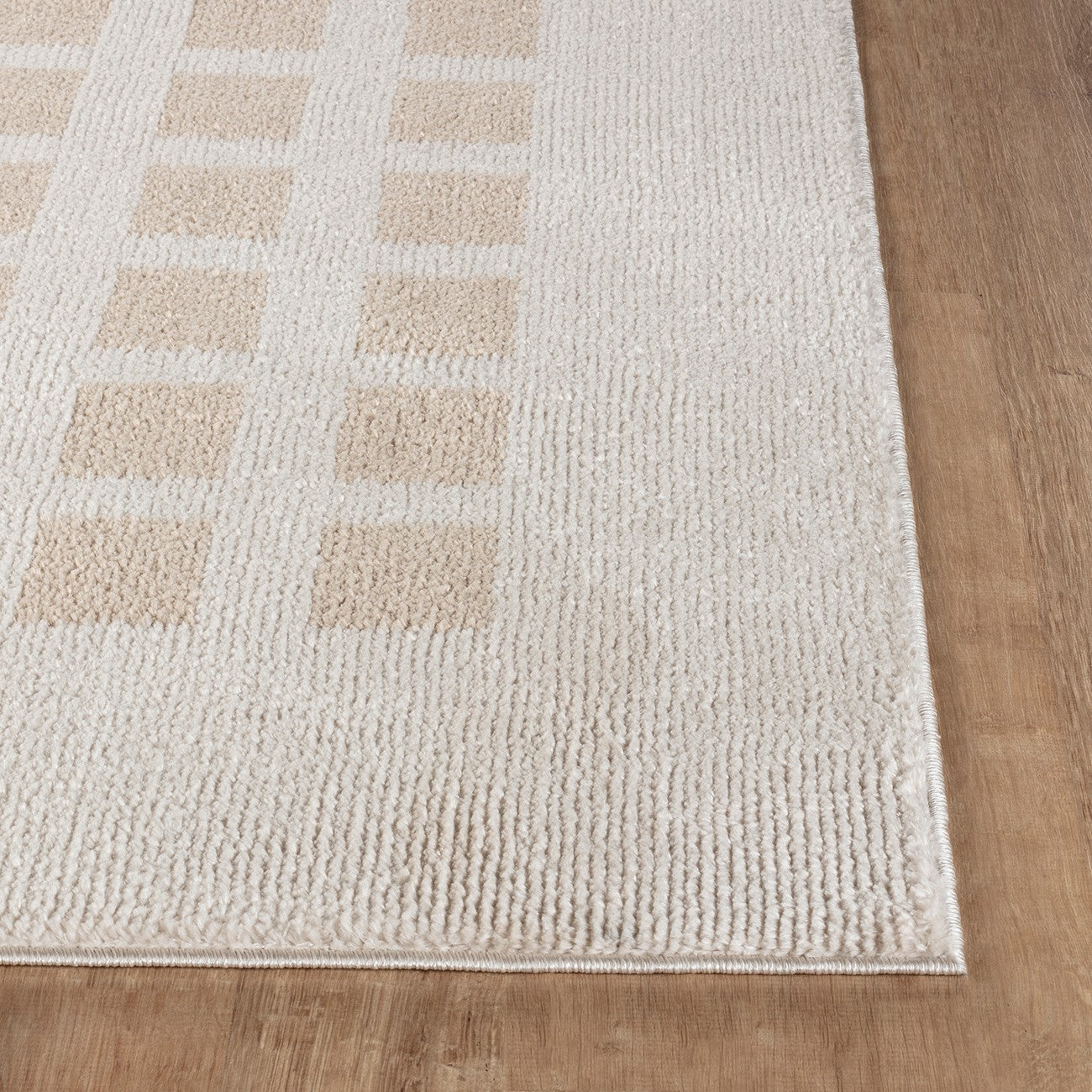 LAURINE Machine Washable Modern Shaggy Beige Area Rug