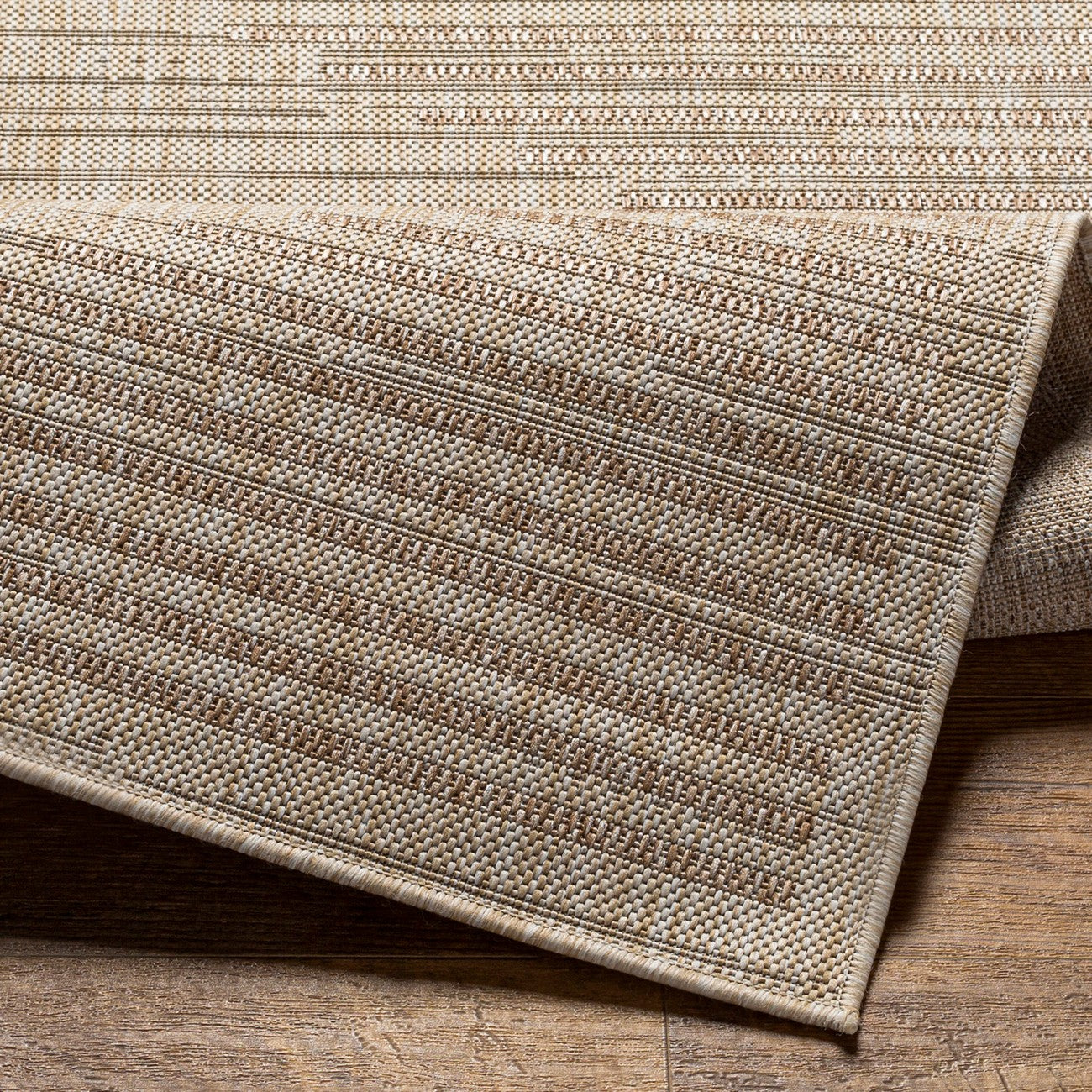 LIGAIA Indoor & Outdoor Global Jute-Look Brown Area Rug
