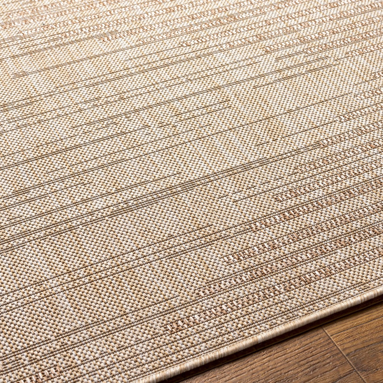 LIGAIA Indoor & Outdoor Global Jute-Look Brown Area Rug