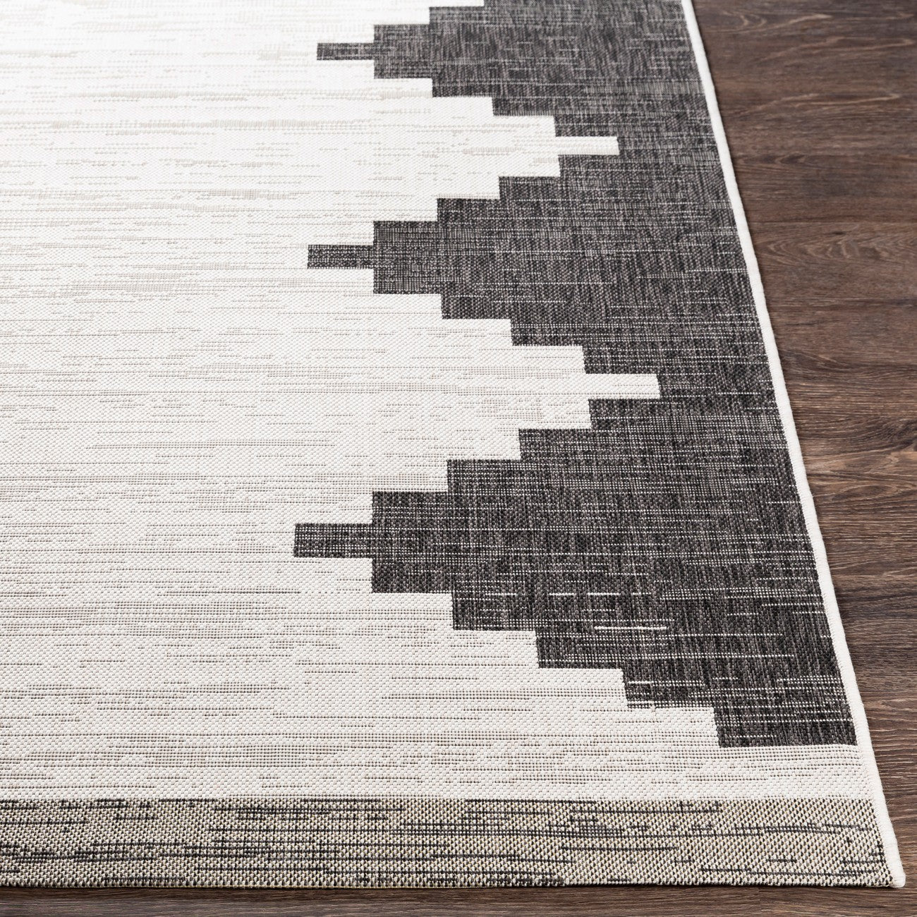 RUBAL Indoor & Outdoor Modern Black Area Rug