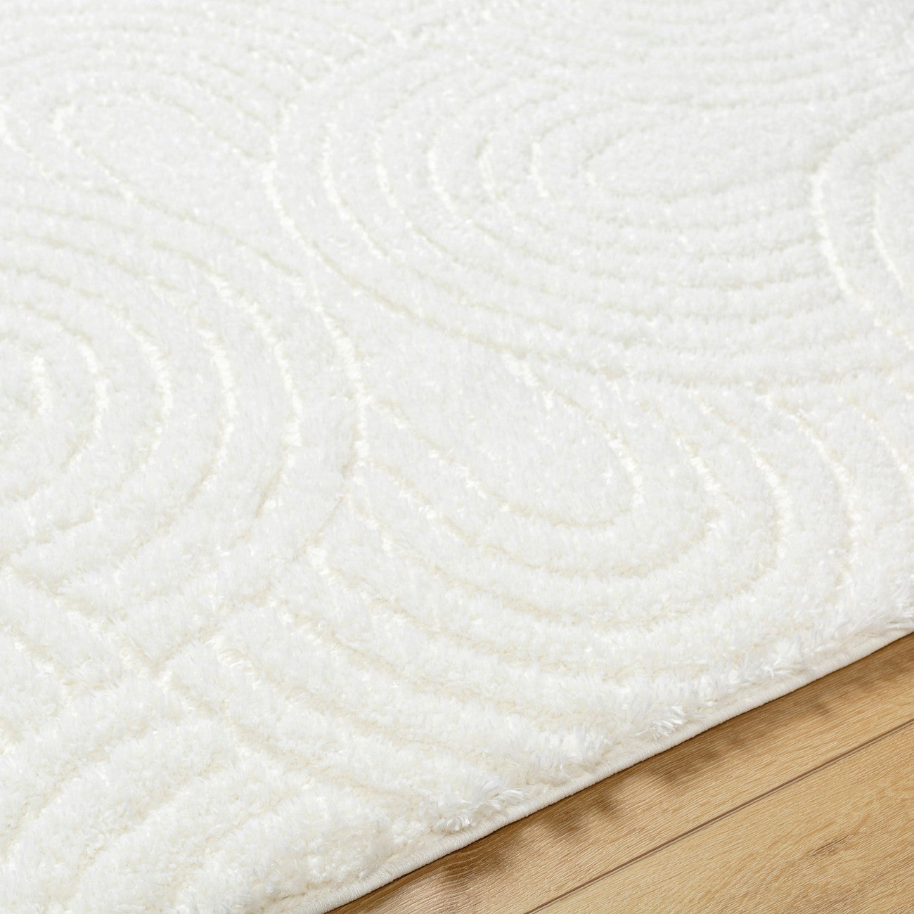 RUNA Shaggy Modern Plush Pile Light Beige/Ivory Area Rug Texture