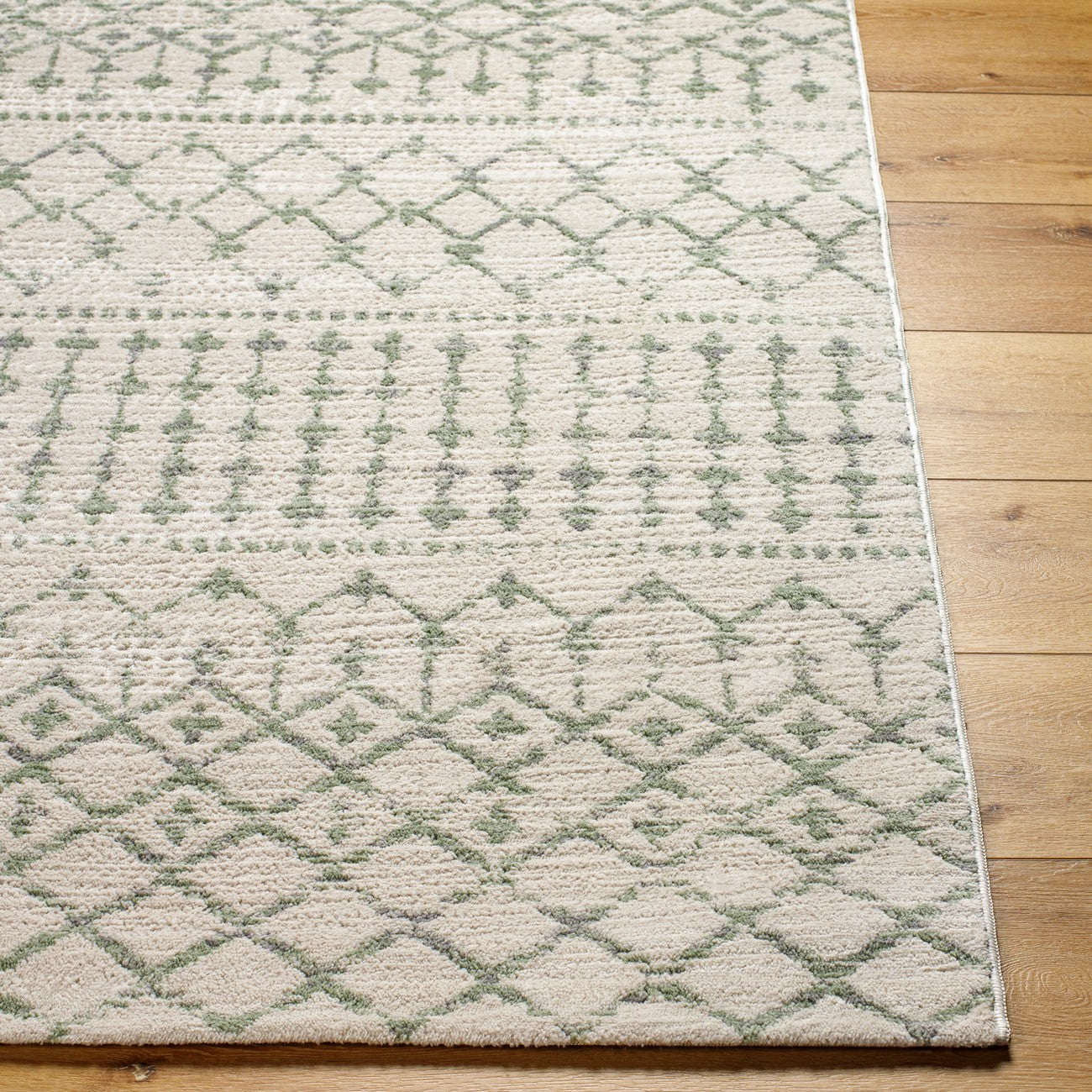 TARYN Berber High Pile Geometric Sage Area Rug Front