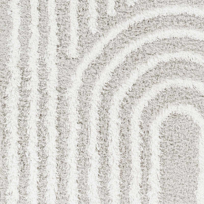 Sample Akela Shag Area Rug