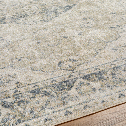 AMAYRA Machine Washable Traditional Boho Olive/Dark Blue Area Rug Texture