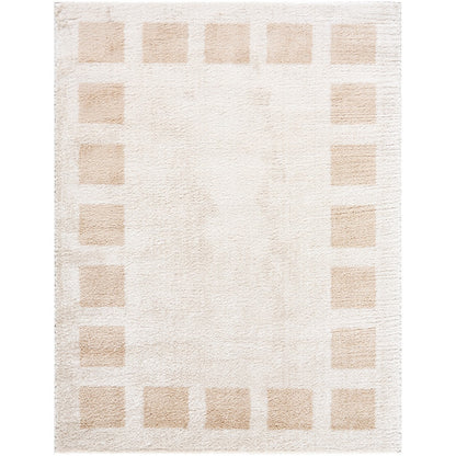 AMINE Machine Washable Modern Shaggy Beige Area Rug Flat