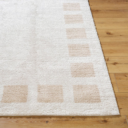 AMINE Machine Washable Modern Shaggy Beige Area Rug Front