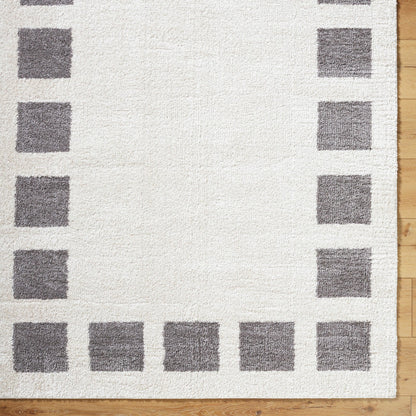 AMINE Machine Washable Modern Shaggy Charcoal Area Rug Overhead