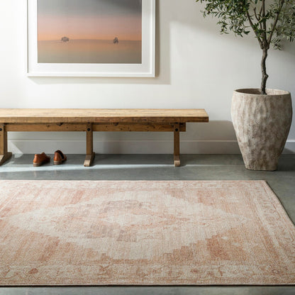 ANIKA Becki Owens x Livabliss Vintage Traditional Oriental Boho Blush/Cream Area Rug