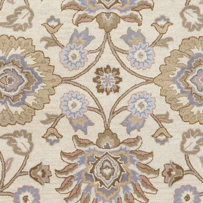 Sample Conesus Hand Tufted Ivory 1109 Area Rug