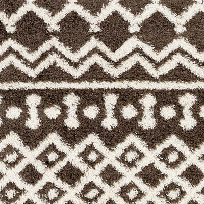 Sample Aysel Shag Area Rug