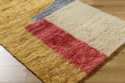 Budrys Area Rug