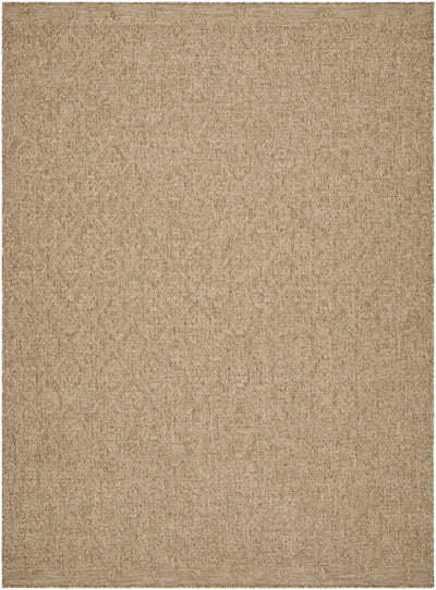 Bandit Brown Area Rug