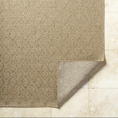 Bandit Brown Area Rug