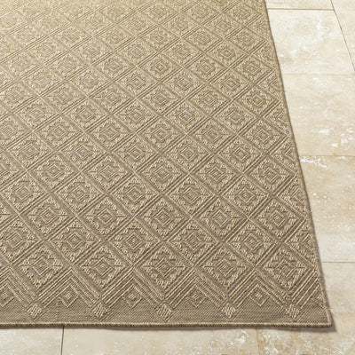 Bandit Brown Area Rug