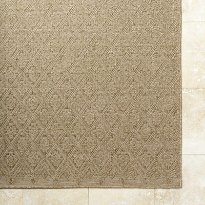 Bandit Brown Area Rug