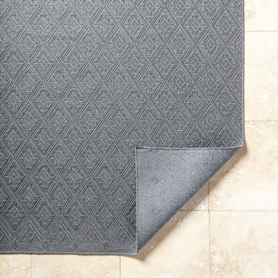 Bandit Gray Area Rug