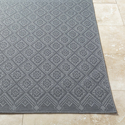 Bandit Gray Area Rug