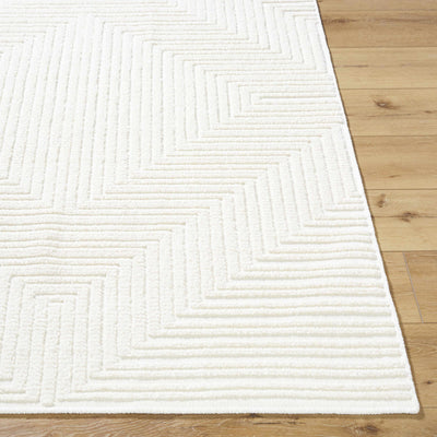 Briana Off-White Washable Area Rug