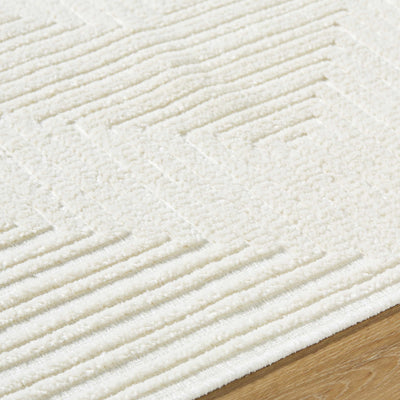 Briana Off-White Washable Area Rug