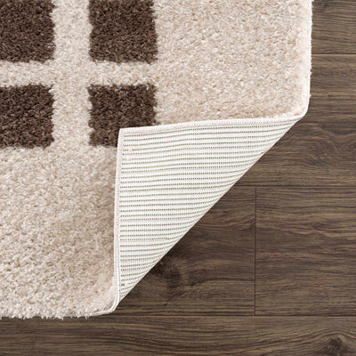 Baback Brown Washable Area Rug