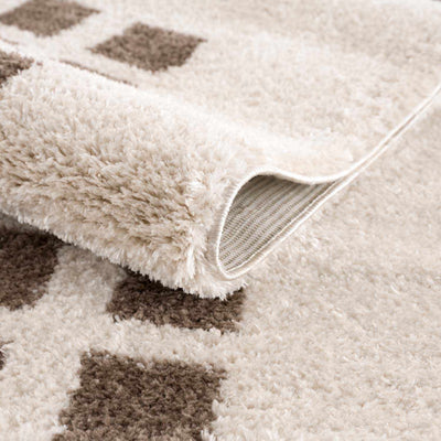 Baback Brown Washable Area Rug