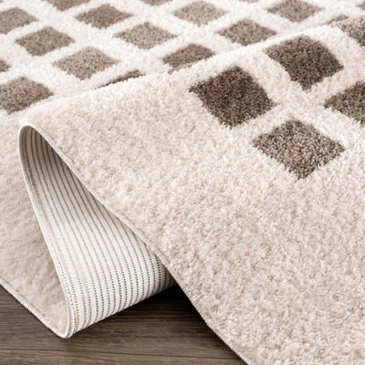 Baback Brown Washable Area Rug