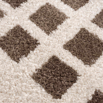 Baback Brown Washable Area Rug