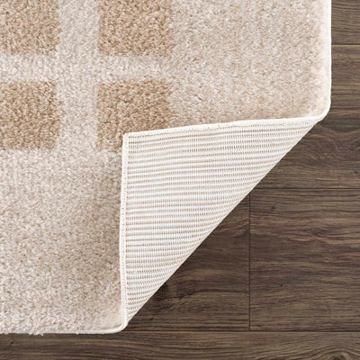 Baback Beige Washable Area Rug