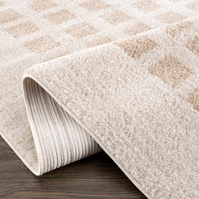 Baback Beige Washable Area Rug