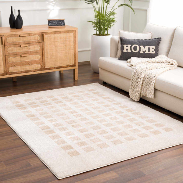 Baback Beige Washable Area Rug