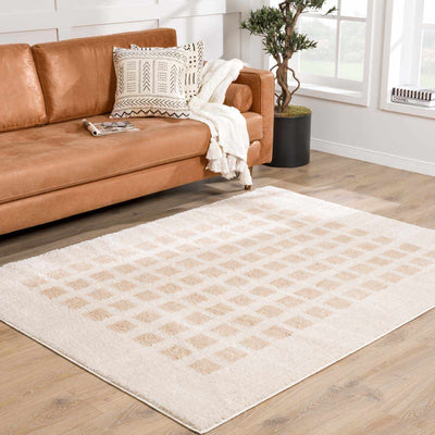 Baback Beige Washable Area Rug