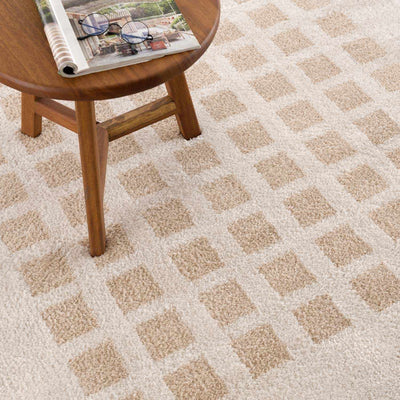 Baback Beige Washable Area Rug