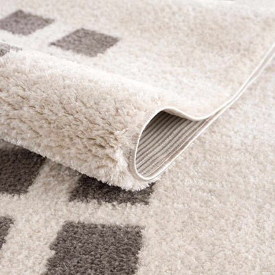 Baback Charcoal Washable Area Rug