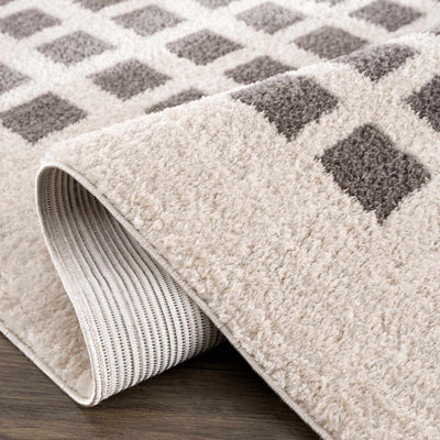 Baback Charcoal Washable Area Rug