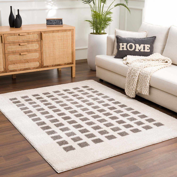 Baback Charcoal Washable Area Rug