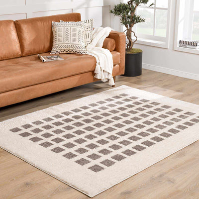 Baback Charcoal Washable Area Rug