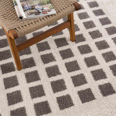 Baback Charcoal Washable Area Rug